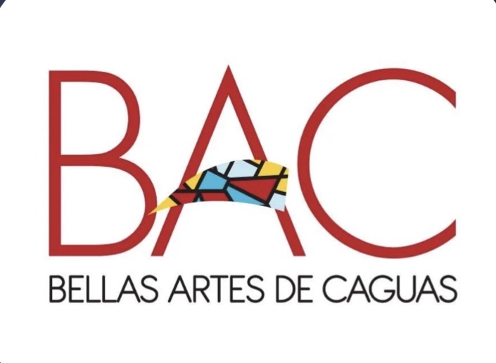 Bellas Artes de Caguas